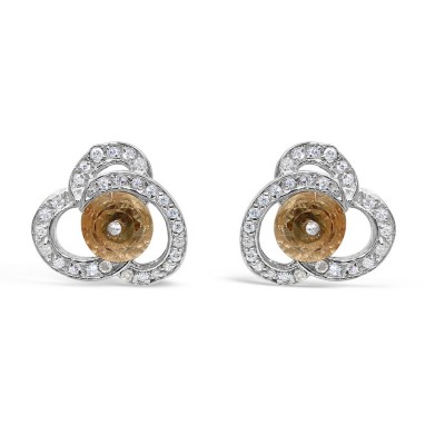 Sterling Silver Earring 8mm Round Champagne Cubic Zirconia with Cubic Zirconia Lines Around
