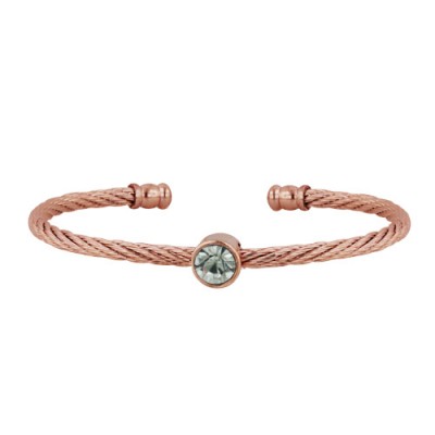 Stainless Steel Bangle Rd W/ Cl Cz Rose Gold Tone, Golden