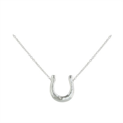 Sterling Silver Necklace Horseshoe with Rolo Chain --E-Coated-