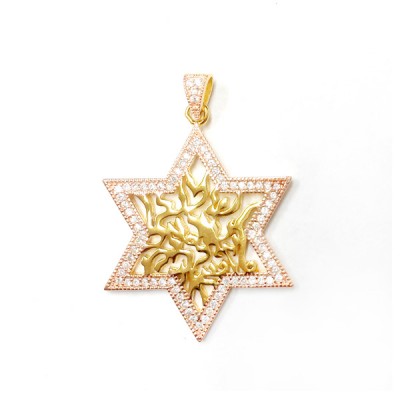 Sterling Silver Pendant Shema Star with Clear Cubic Zirconia -Gold+Rose-