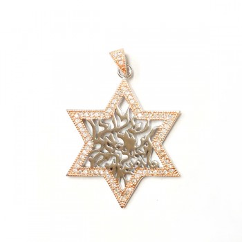 Sterling Silver Pendant Shema Star with Clear Cubic Zirconia -Rh+Rose-