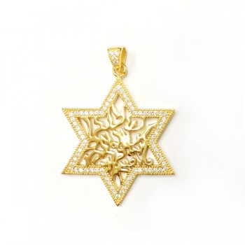Sterling Silver Pendant Shema Star with Clear Cubic Zirconia -Gold+Gold-