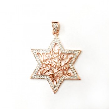Sterling Silver Pendant Shema Star with Clear Cubic Zirconia -Rose+Rh-